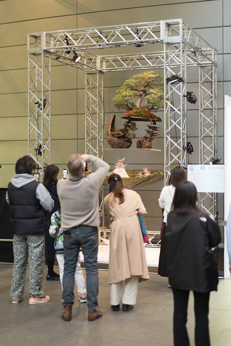 bara / BONSAI NFT ｺﾐｭﾏﾈ🎍🐧 tweet media