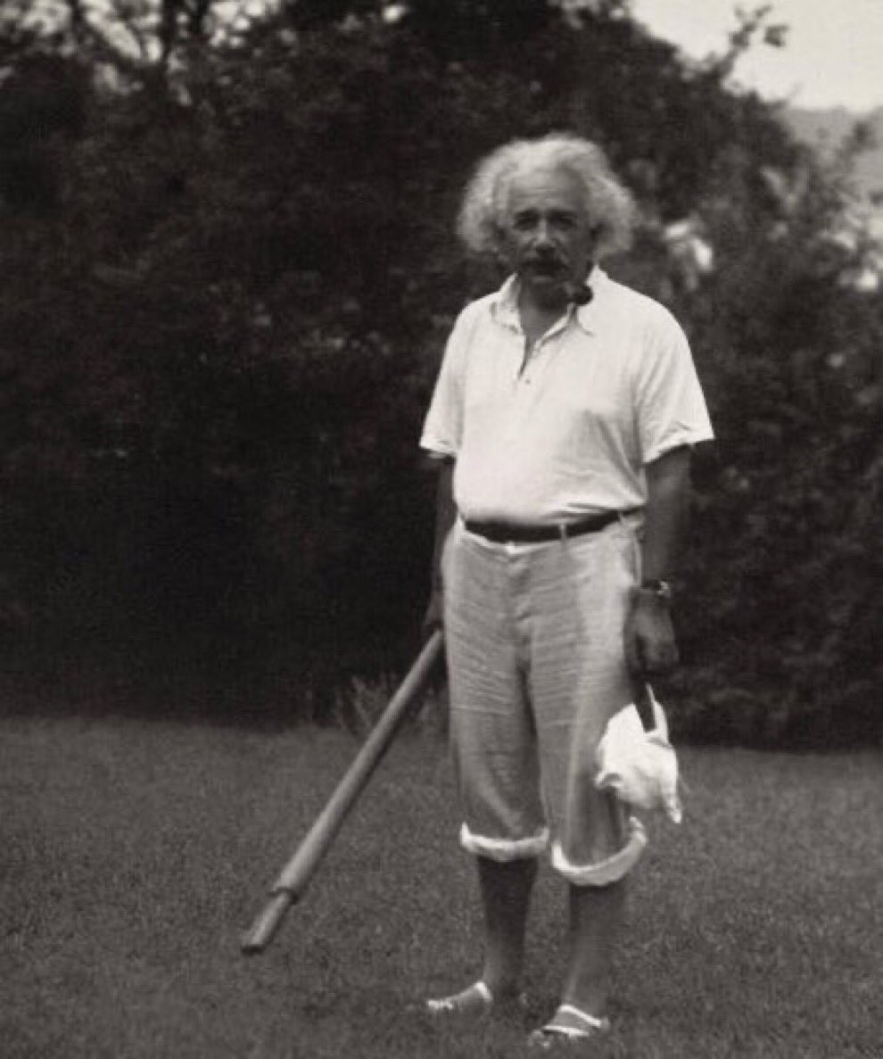 Ina de Bree tweet media