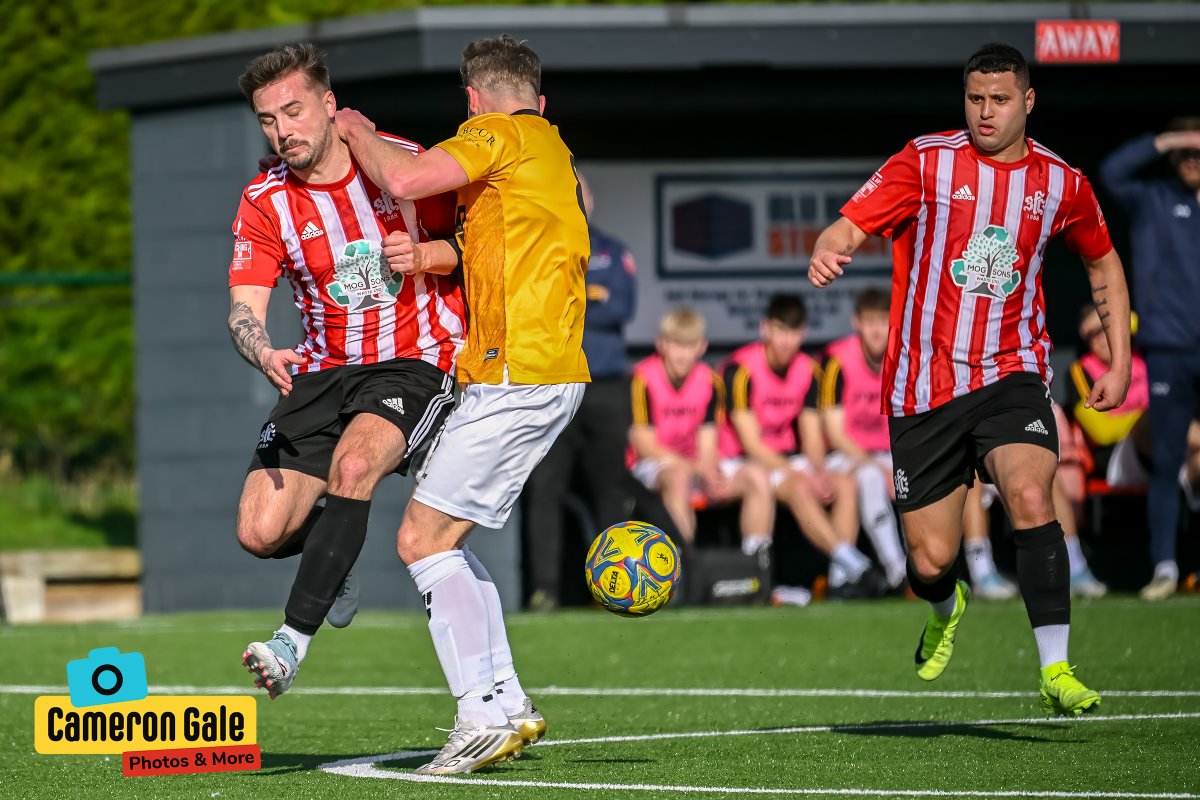 Behind The Fence Photography tweet media