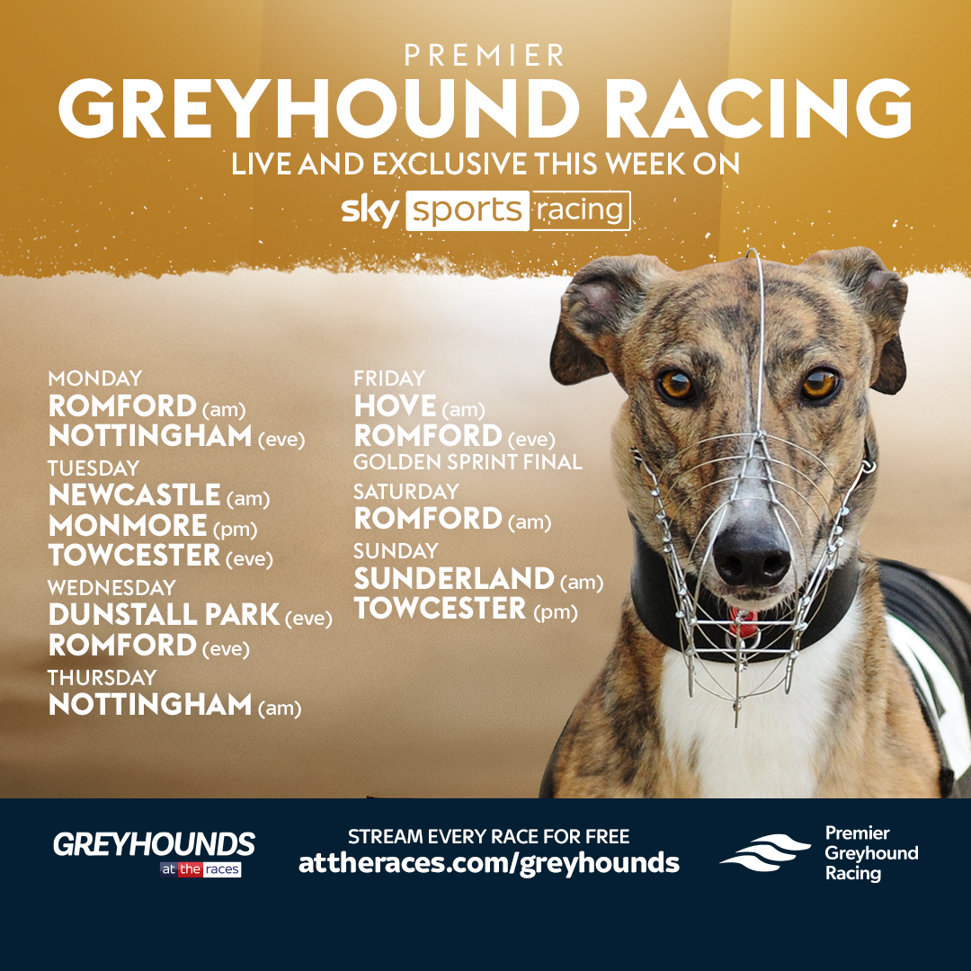 Premier Greyhound Racing tweet media