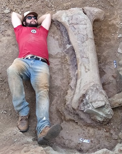 Був приблизно 20 метрів завдовжки: у Бразилії знайшли скам’янілості раніше невідомого великого динозавра
life.pravda.com.ua/society/u-braz…