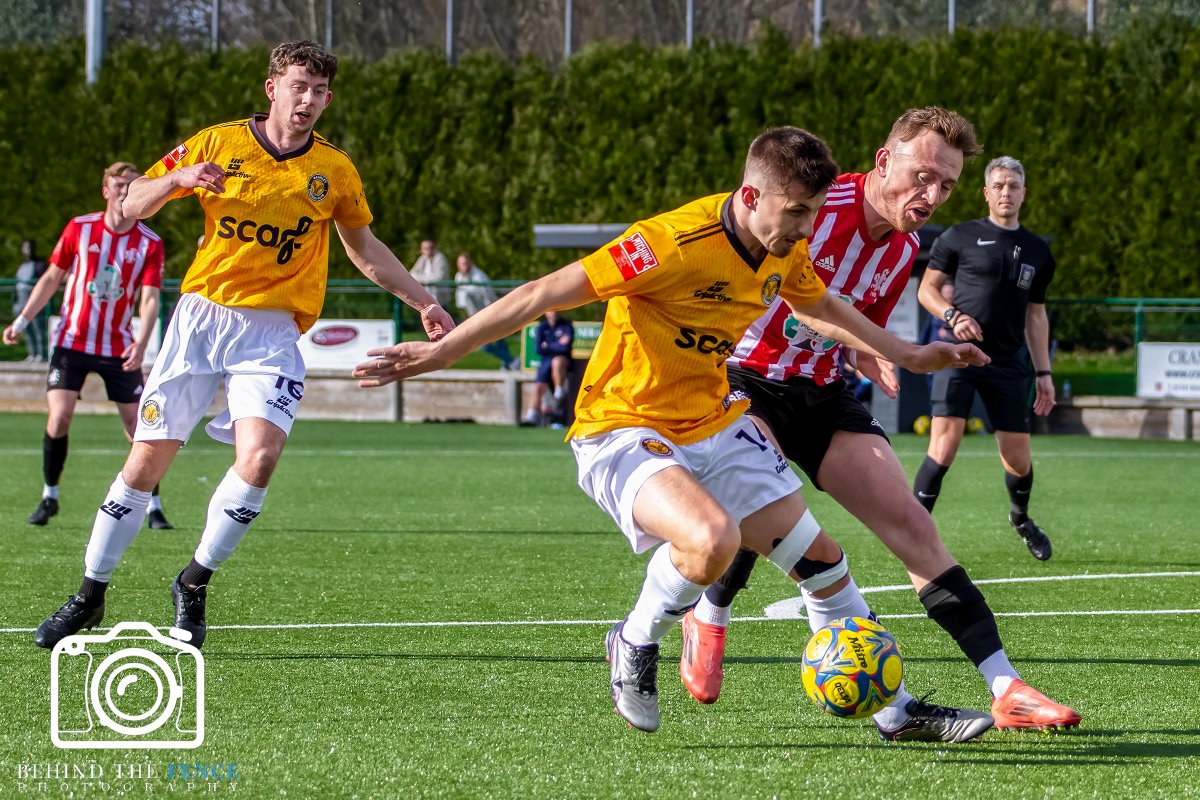 Behind The Fence Photography tweet media