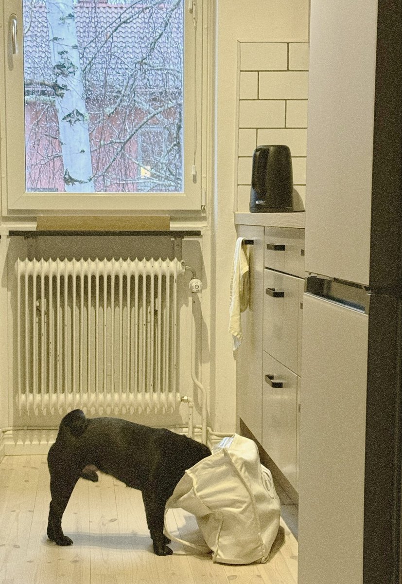 всепросто tweet media