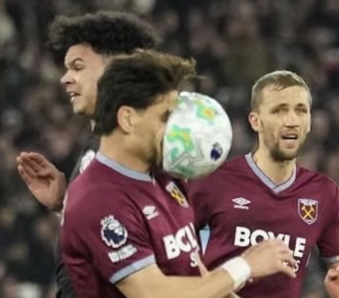 Scarlet Katz Roberts tweet media