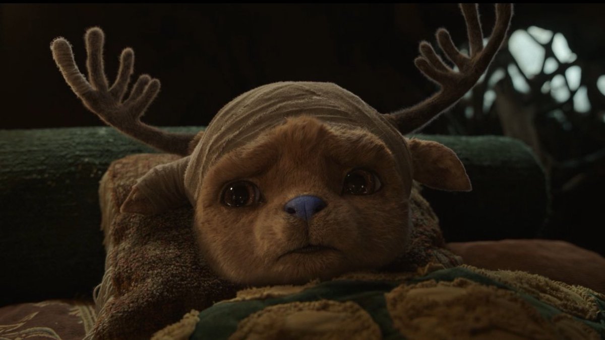 she ✮⋆˙ tweet media