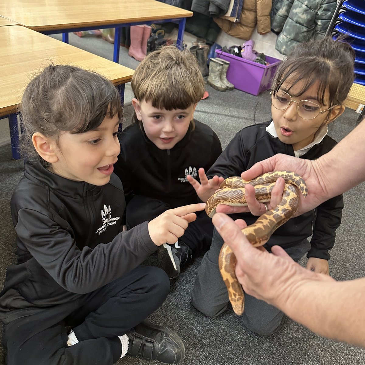 bugsnstuff.com tweet media