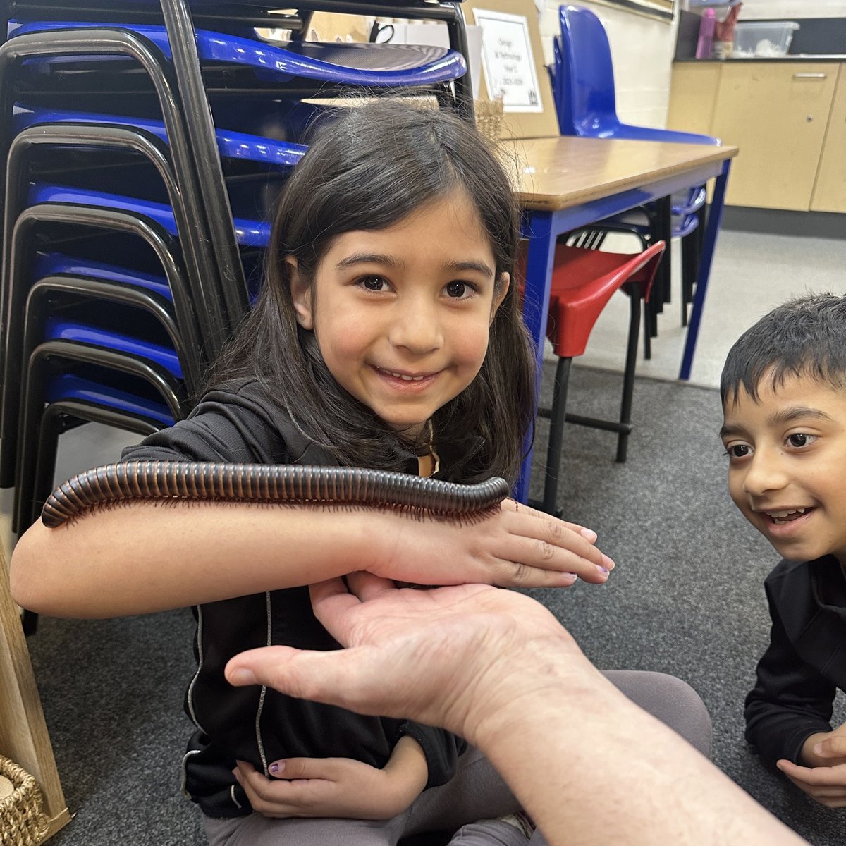 bugsnstuff.com tweet media