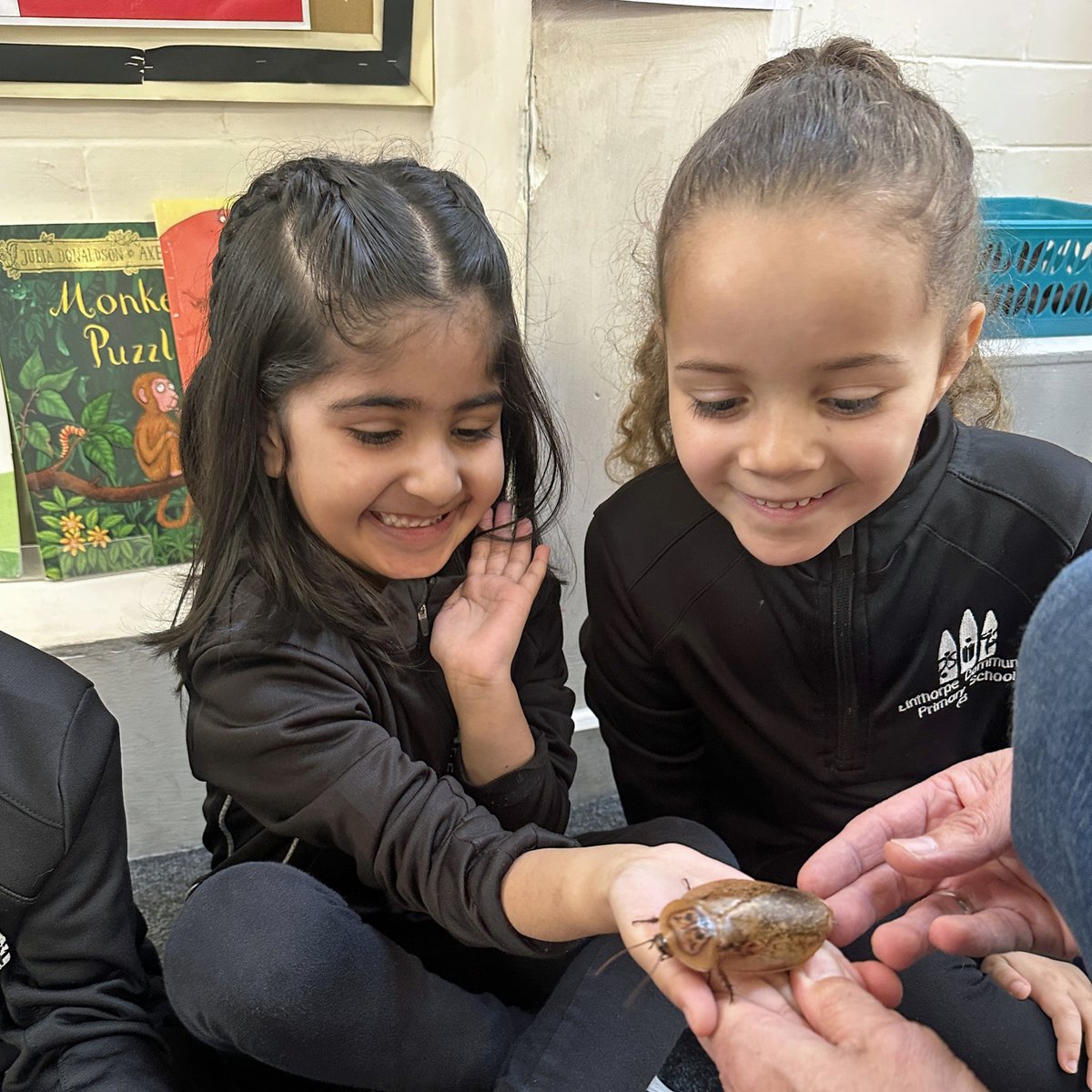 bugsnstuff.com tweet media