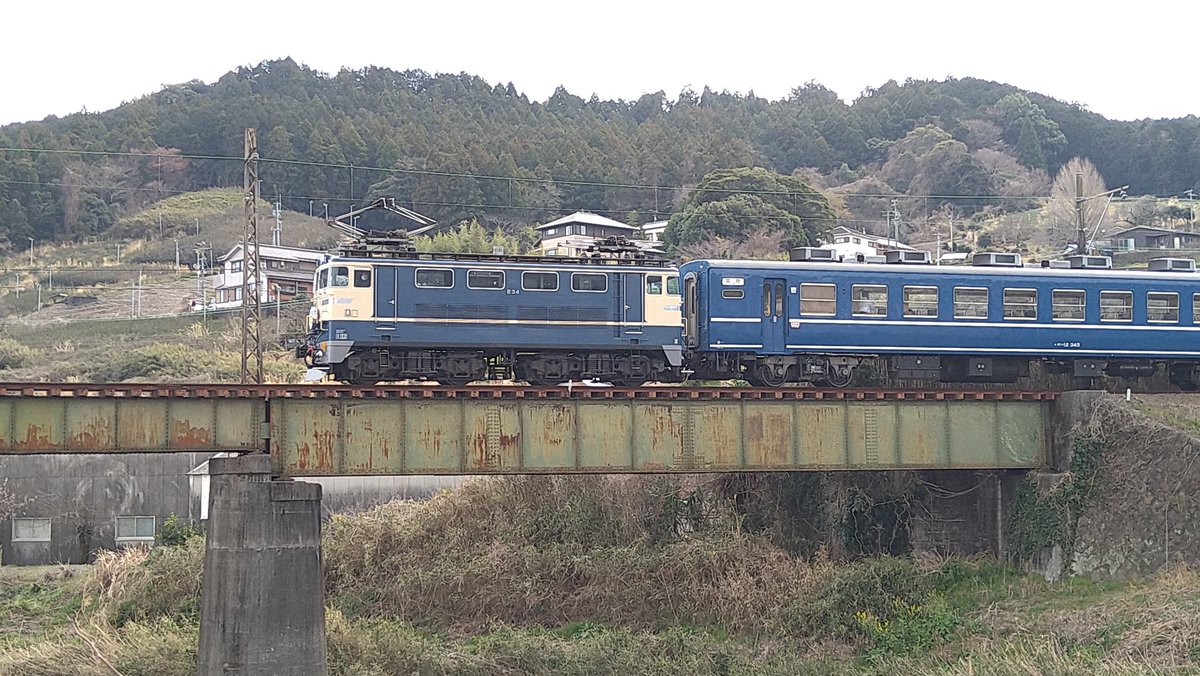 多賀康子 tweet media