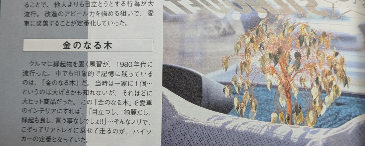 金幸園 tweet media