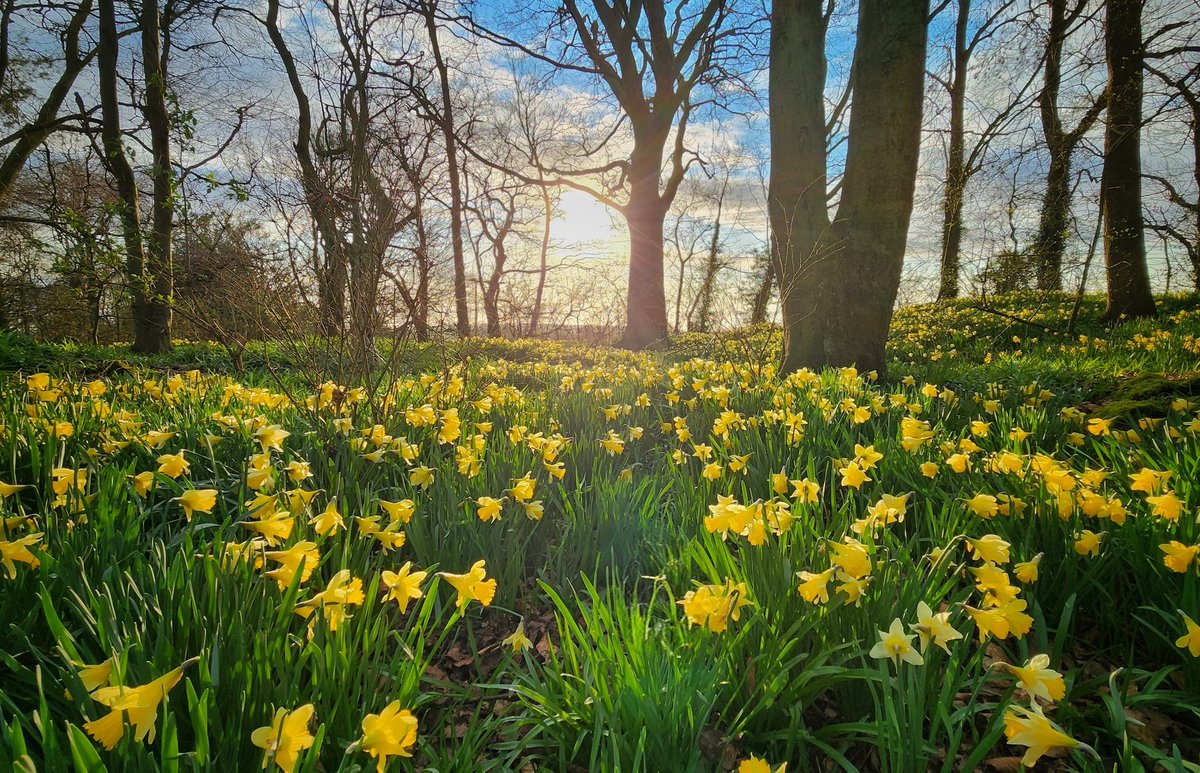 Robbledo tweet media