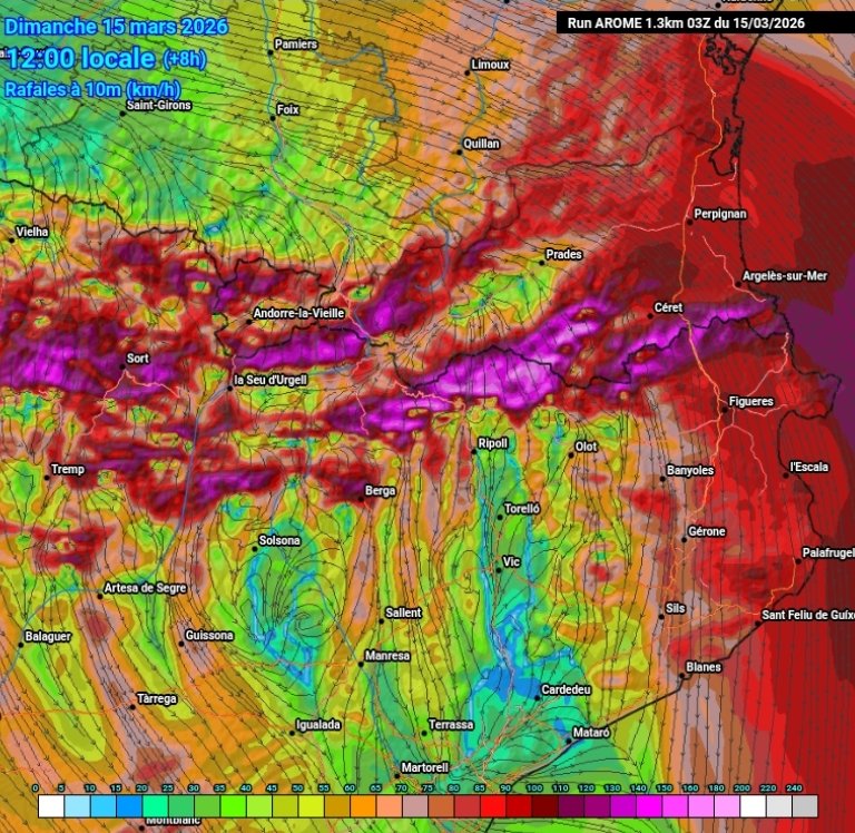 meteocadí tweet media