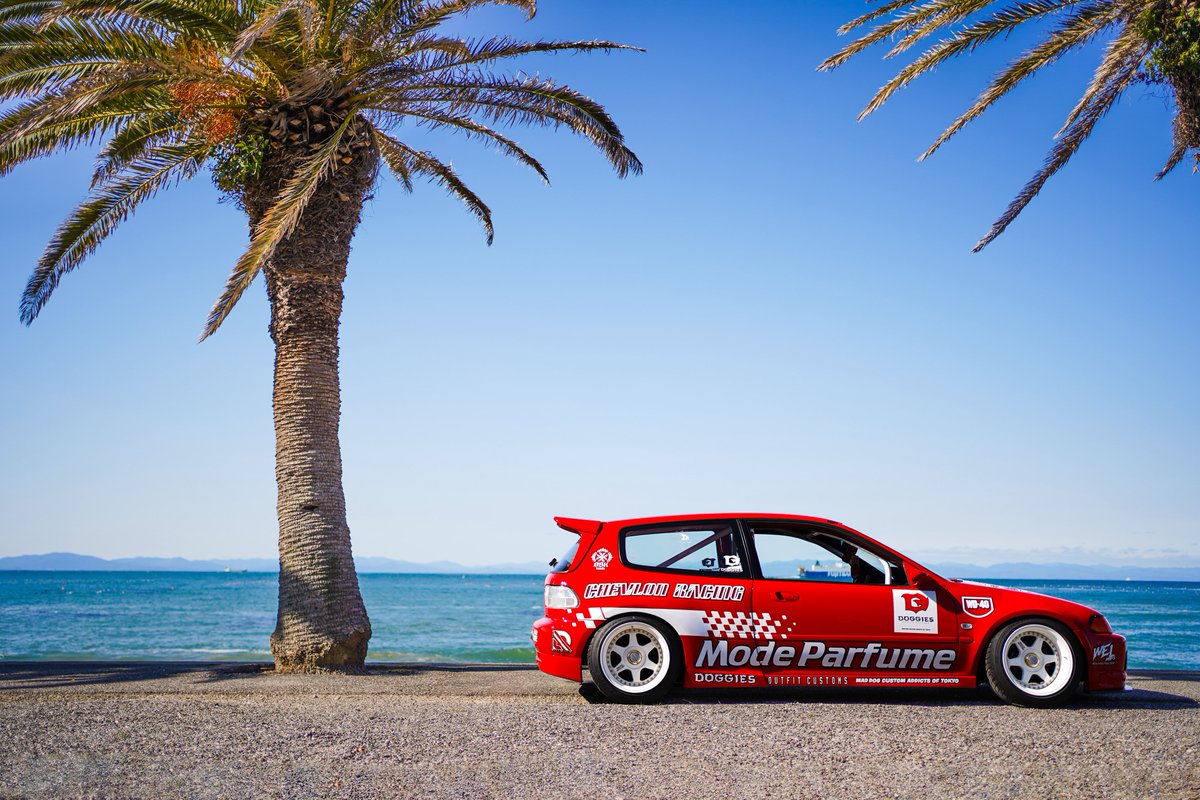 ドギーズ tweet media