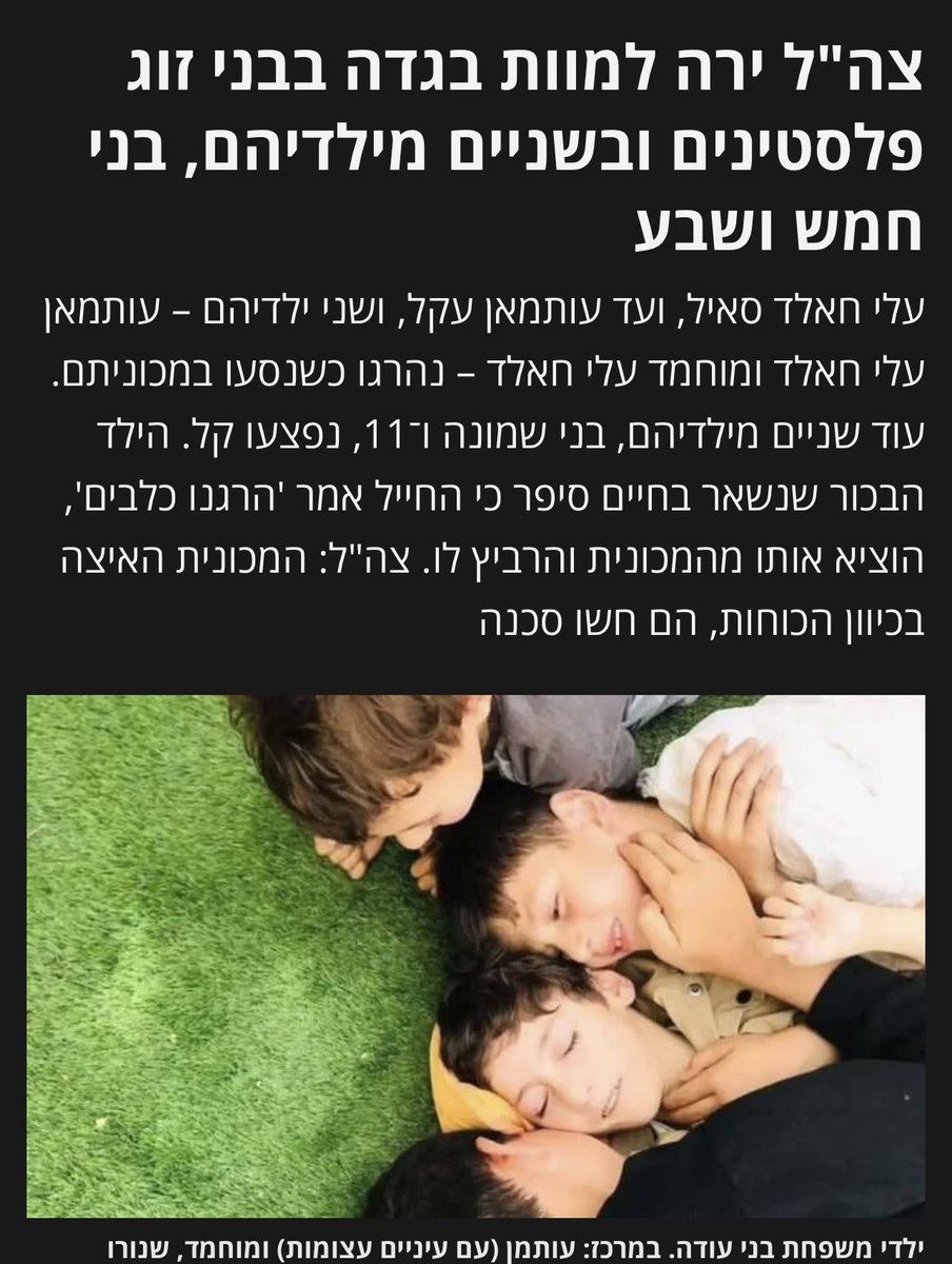 Alon Levi tweet media