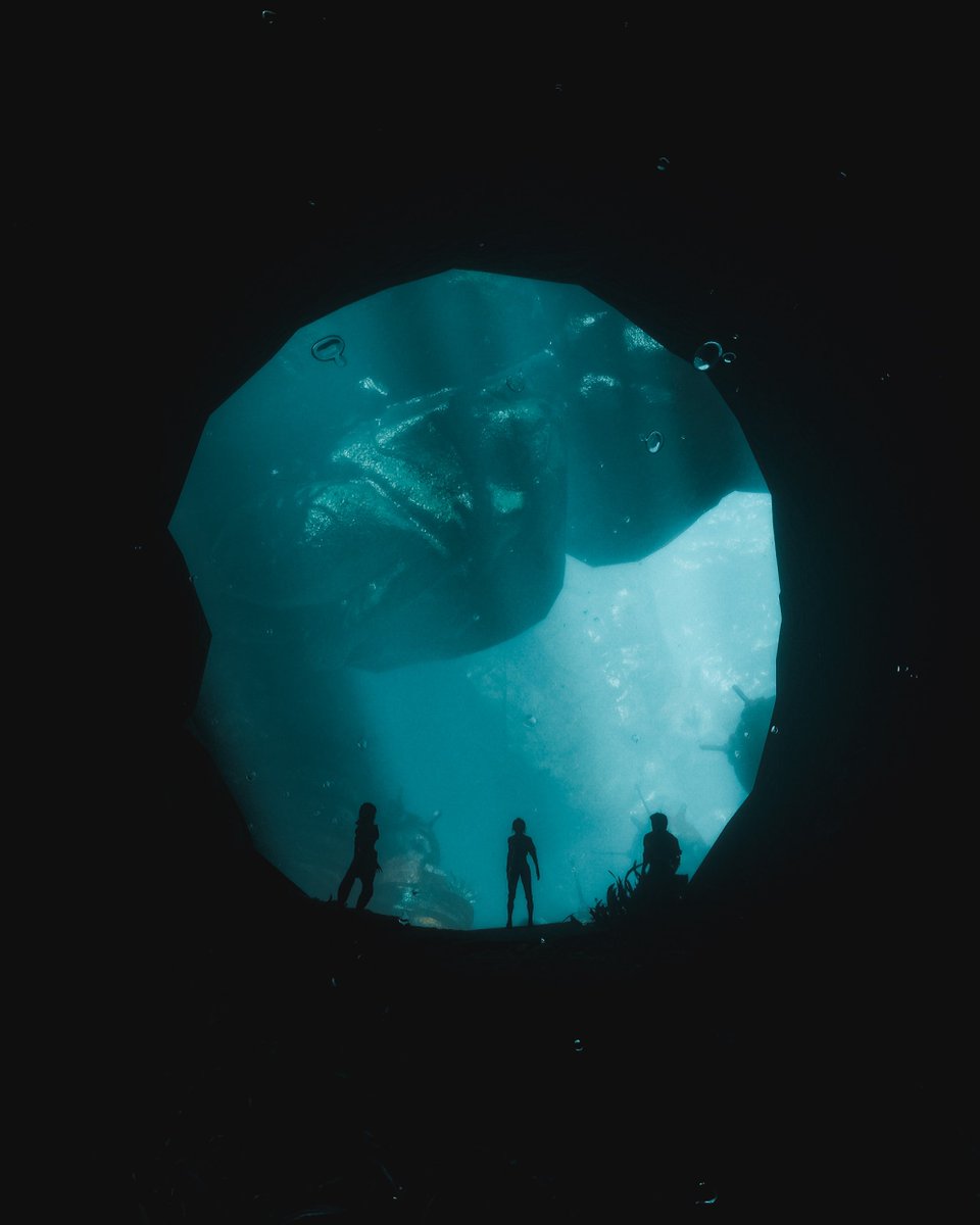 Falconswift87's tweet image. Until You’re Gone - Expedition 33

“Strength and resilience, it's how we survived that storm and it's how we grabbed VICTORY!”

#E33Photomode #Expedition33