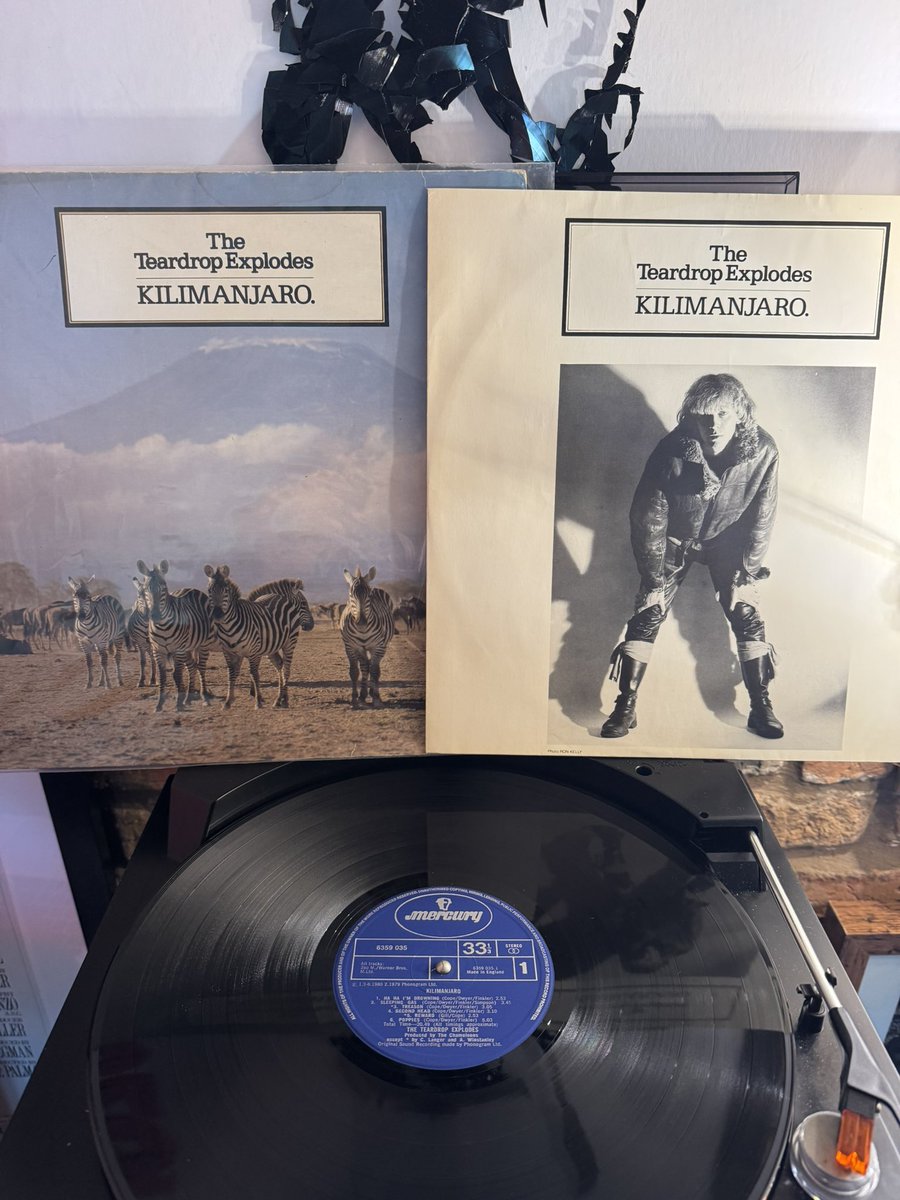 Lee Stevens tweet media