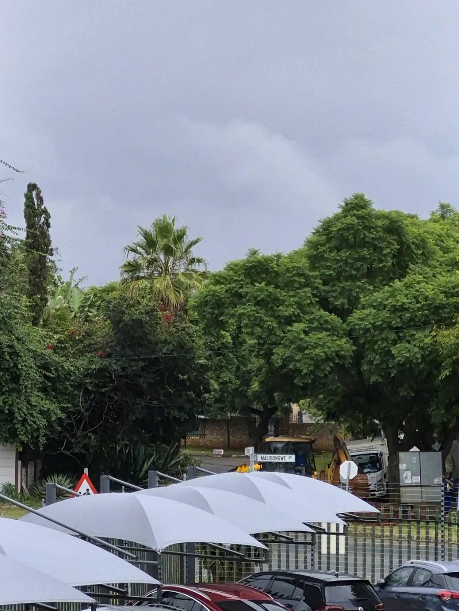 Jenniferdianeplatt tweet media