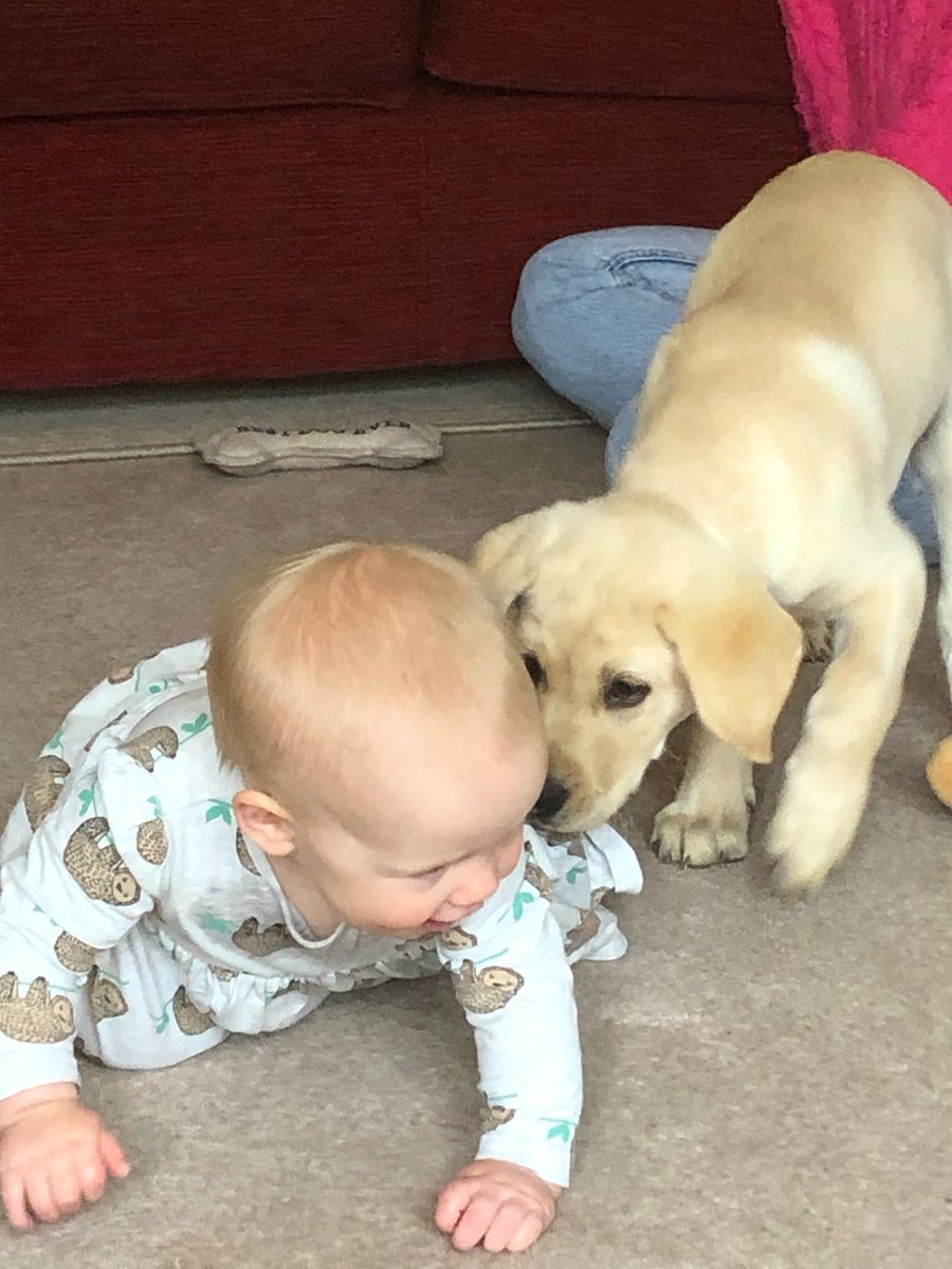 Sue Christensen tweet media