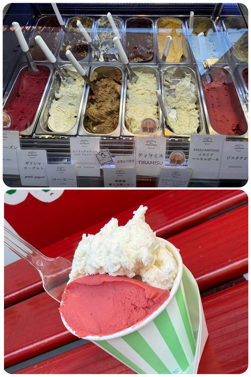 たぬき tweet media