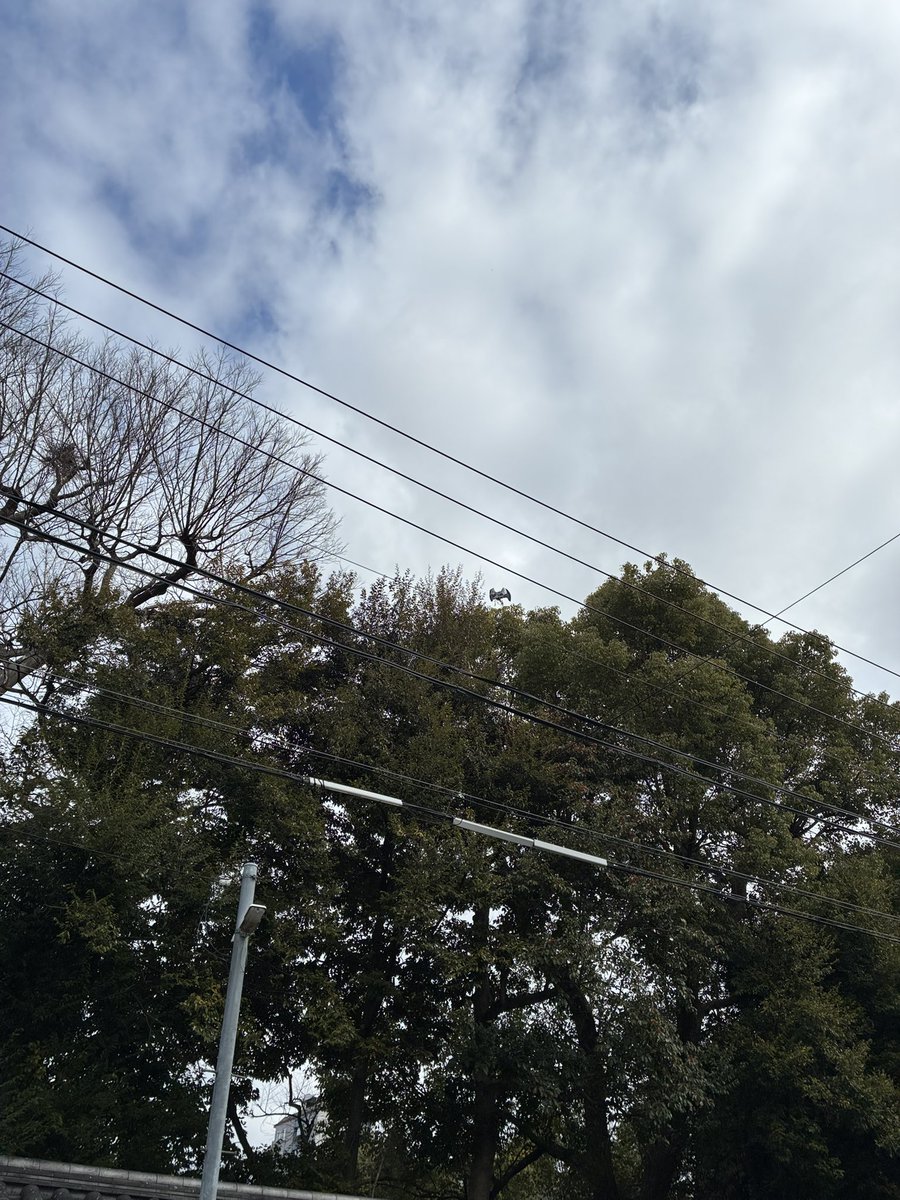 リフォームは順調そうだね！