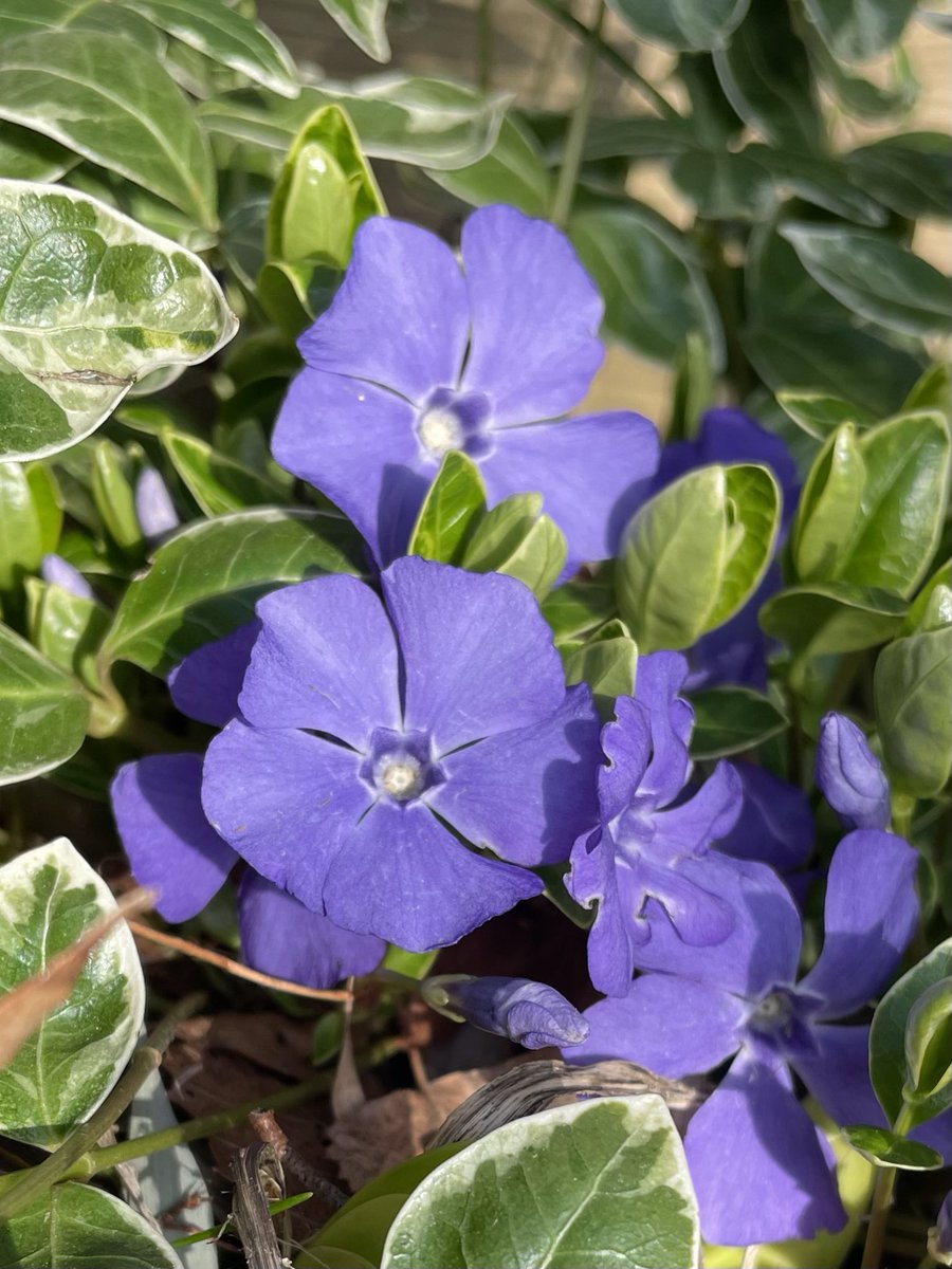 Gregoire 🏳️‍🌈 tweet media