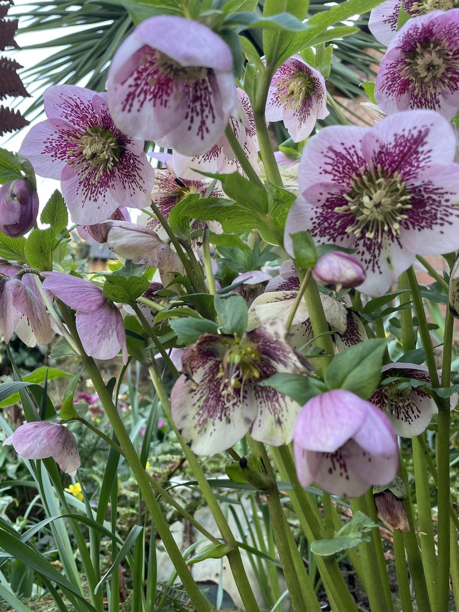 Gregoire 🏳️‍🌈 tweet media