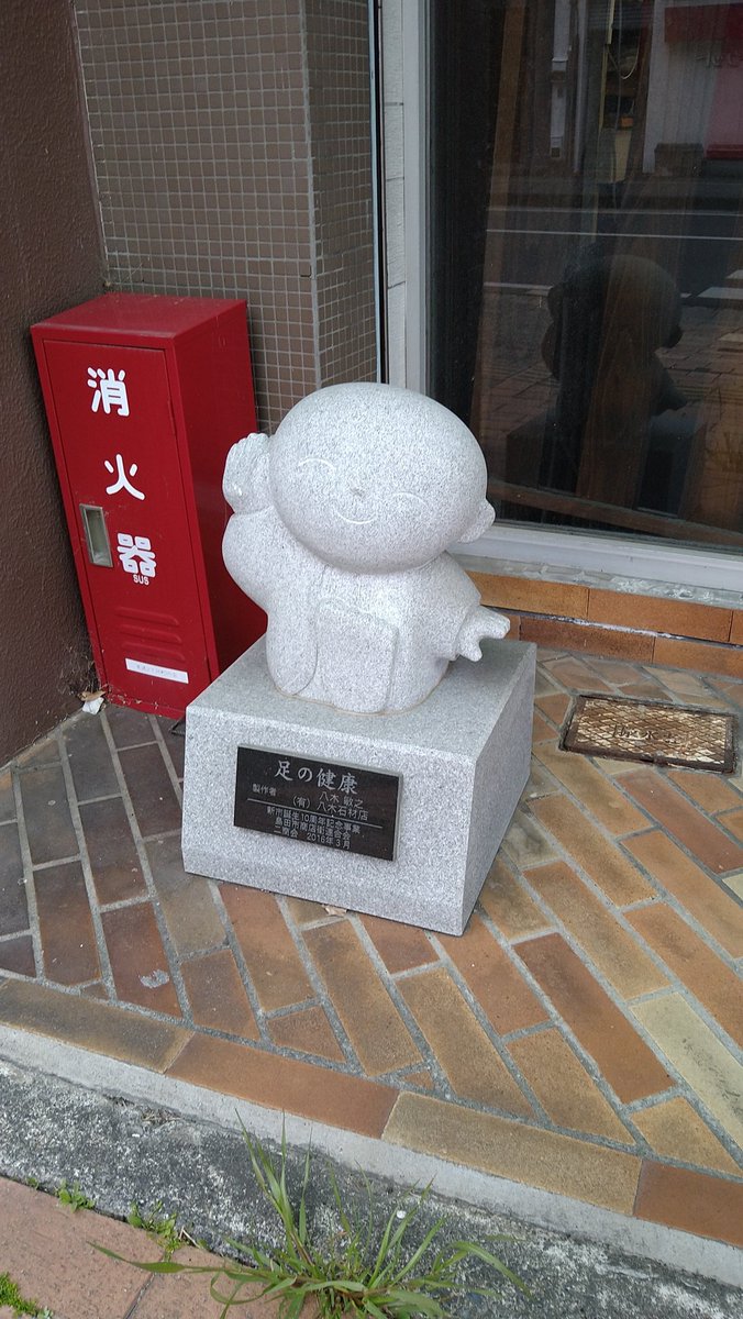 多賀康子 tweet media