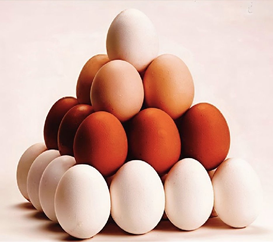 Dilan Su tweet media