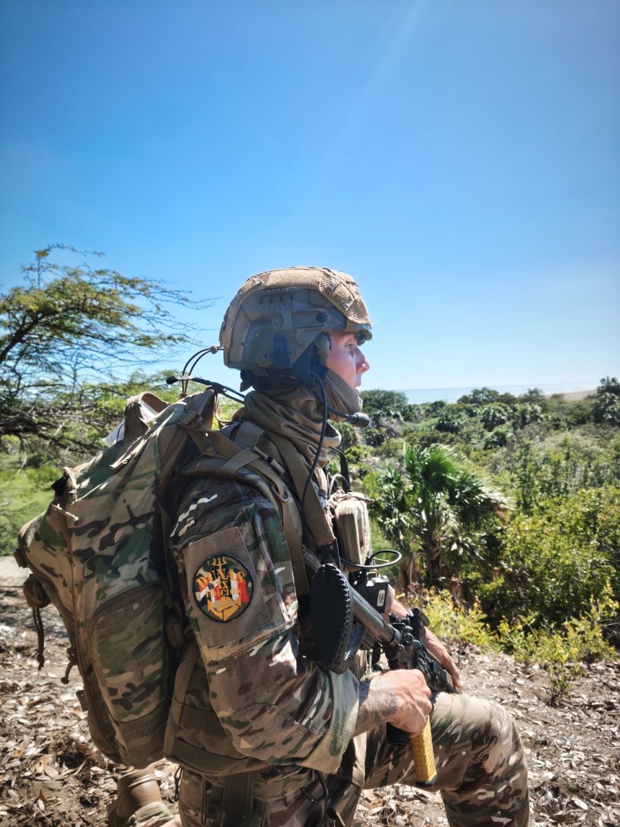 The 🇫🇷 Joint Staff - Military operations tweet media