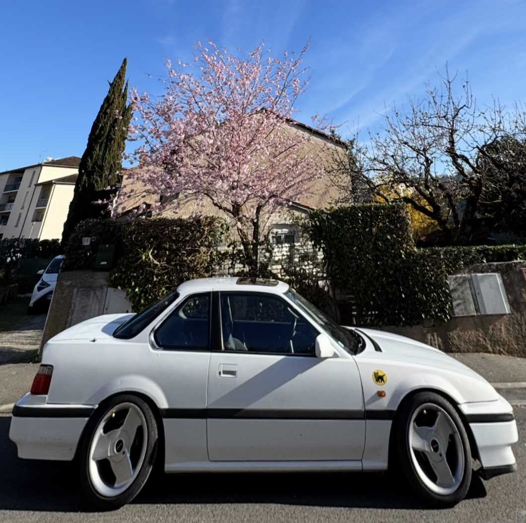 LULA MQQN tweet media