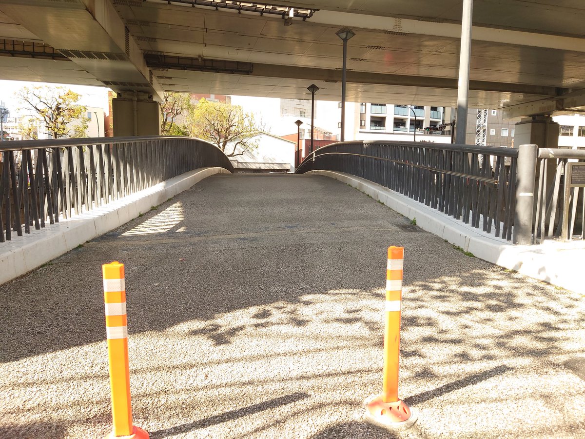 もるじぃ tweet media