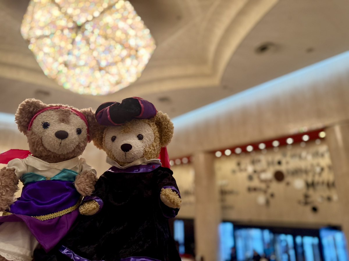 めいちゃんのお散歩 tweet media