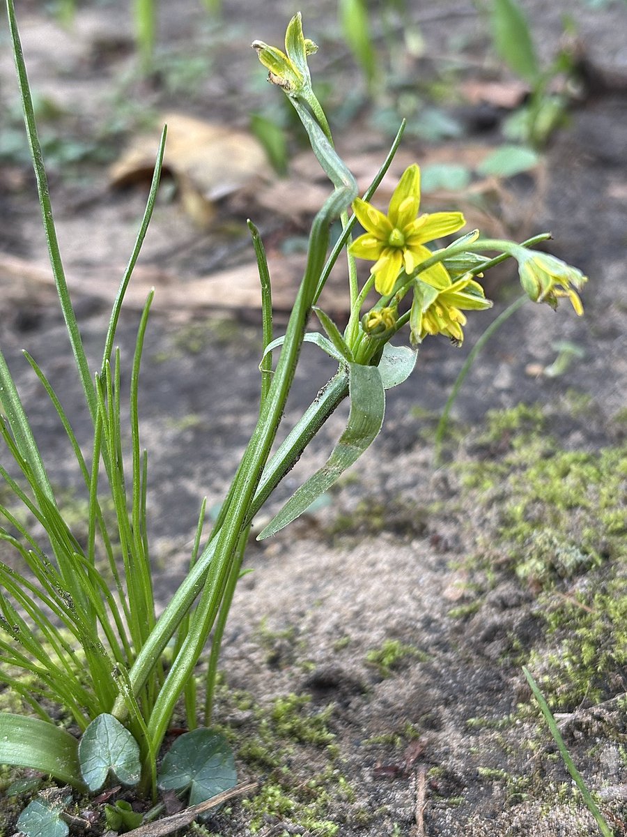 MartinWW❌ tweet media