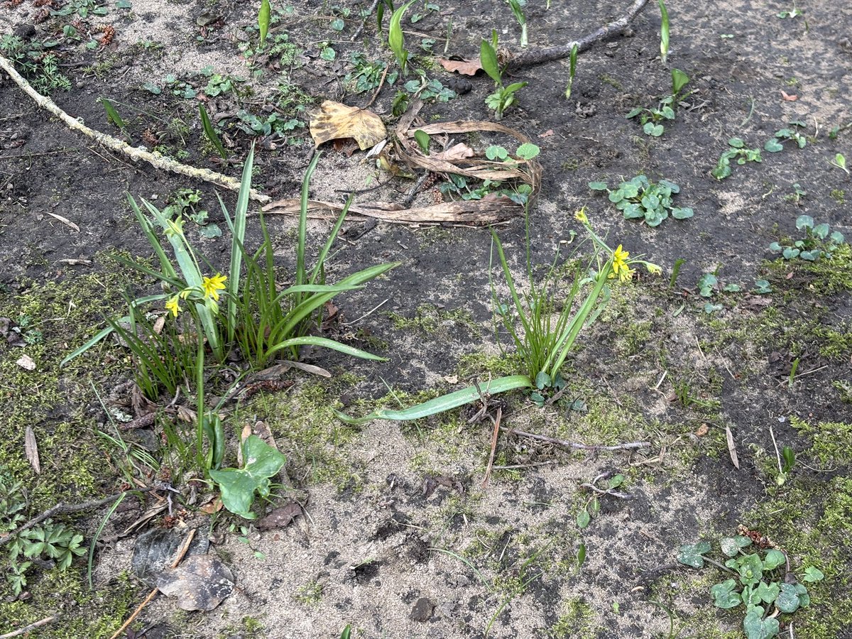 MartinWW❌ tweet media