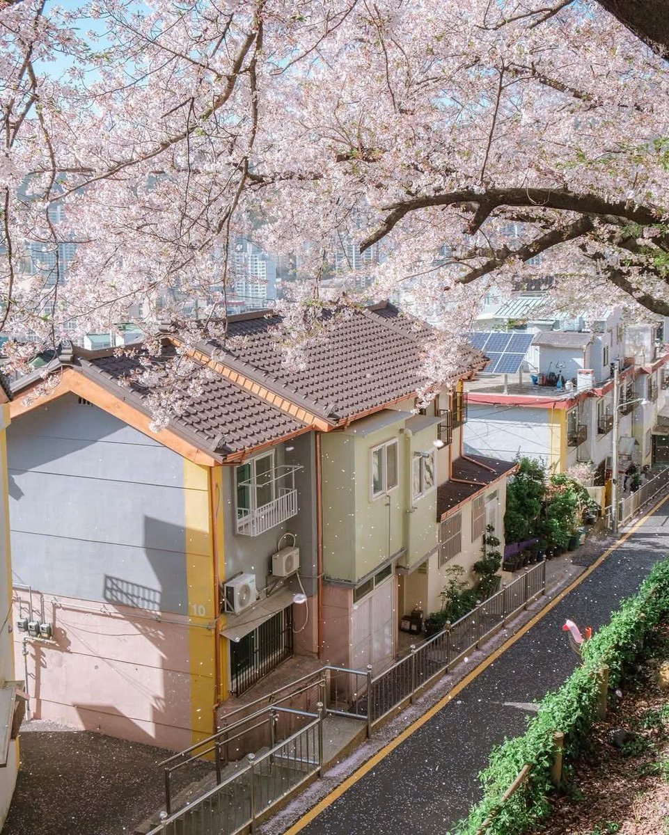 สะพายกล้องท่องโลก 📸 tweet media