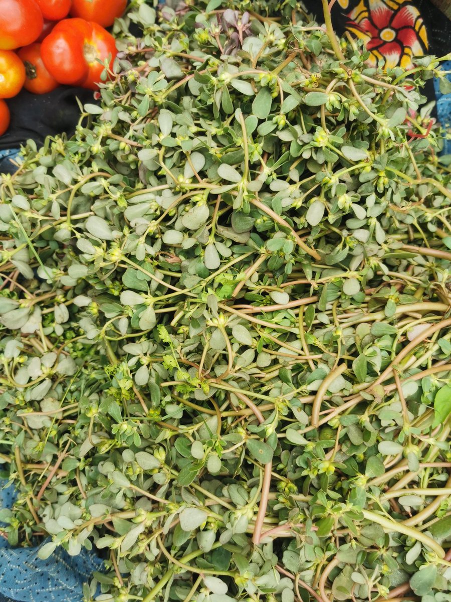 DelhiTrees tweet media