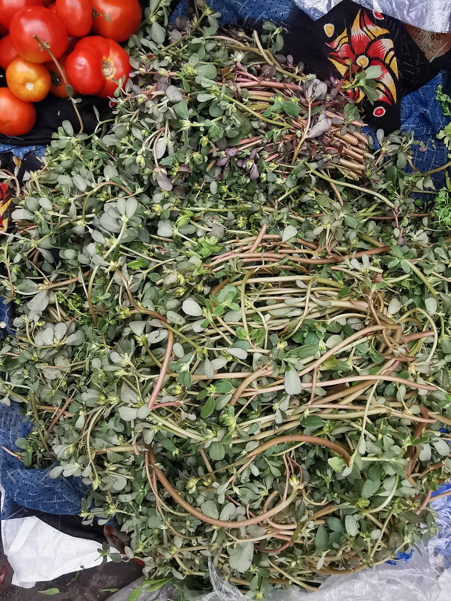 DelhiTrees tweet media