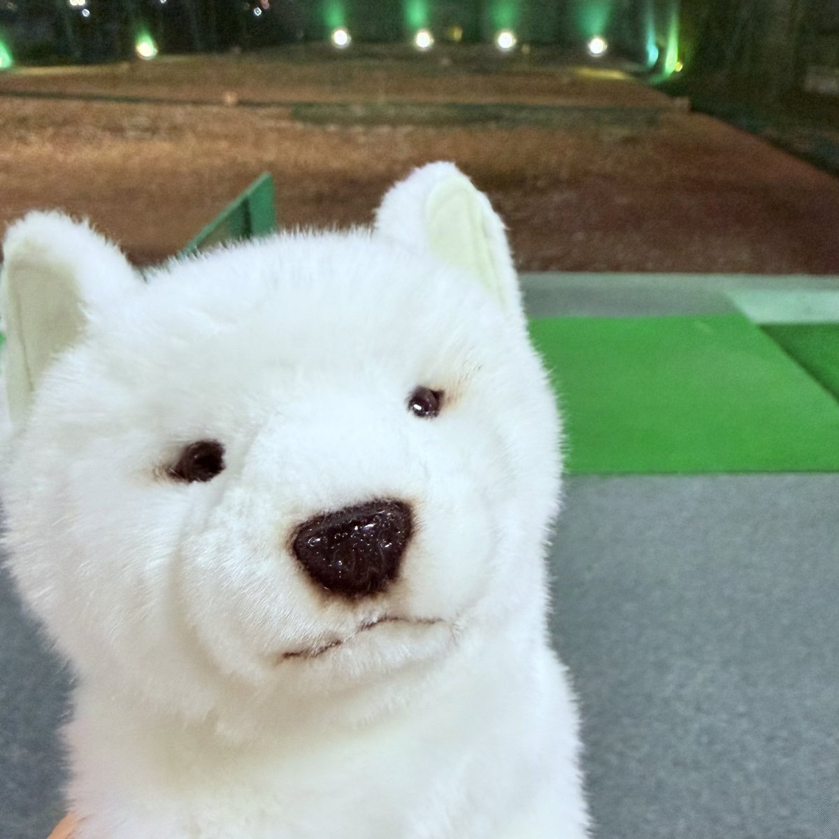 そおちゃん tweet media
