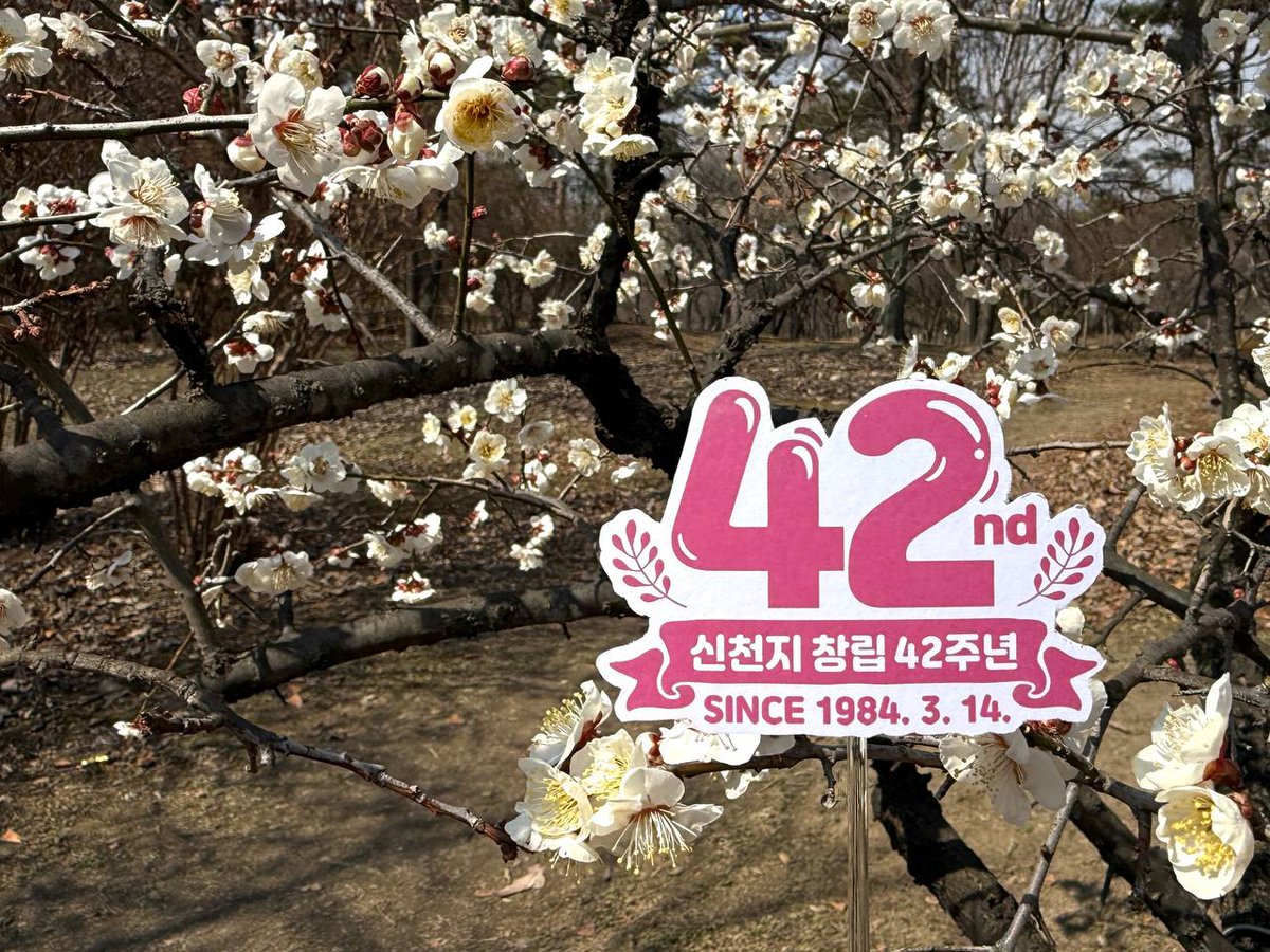 브레이크뉴스-신천지 42주년...“아파트 지하에서 시작 매년 수만명씩 교인증가”
vo.la/YfQmdhq
공식 홈페이지
shincheonji.org
#신천지예수교회 #창립42주년 #42돌 #축하 #SINCE19840314 #성경대로