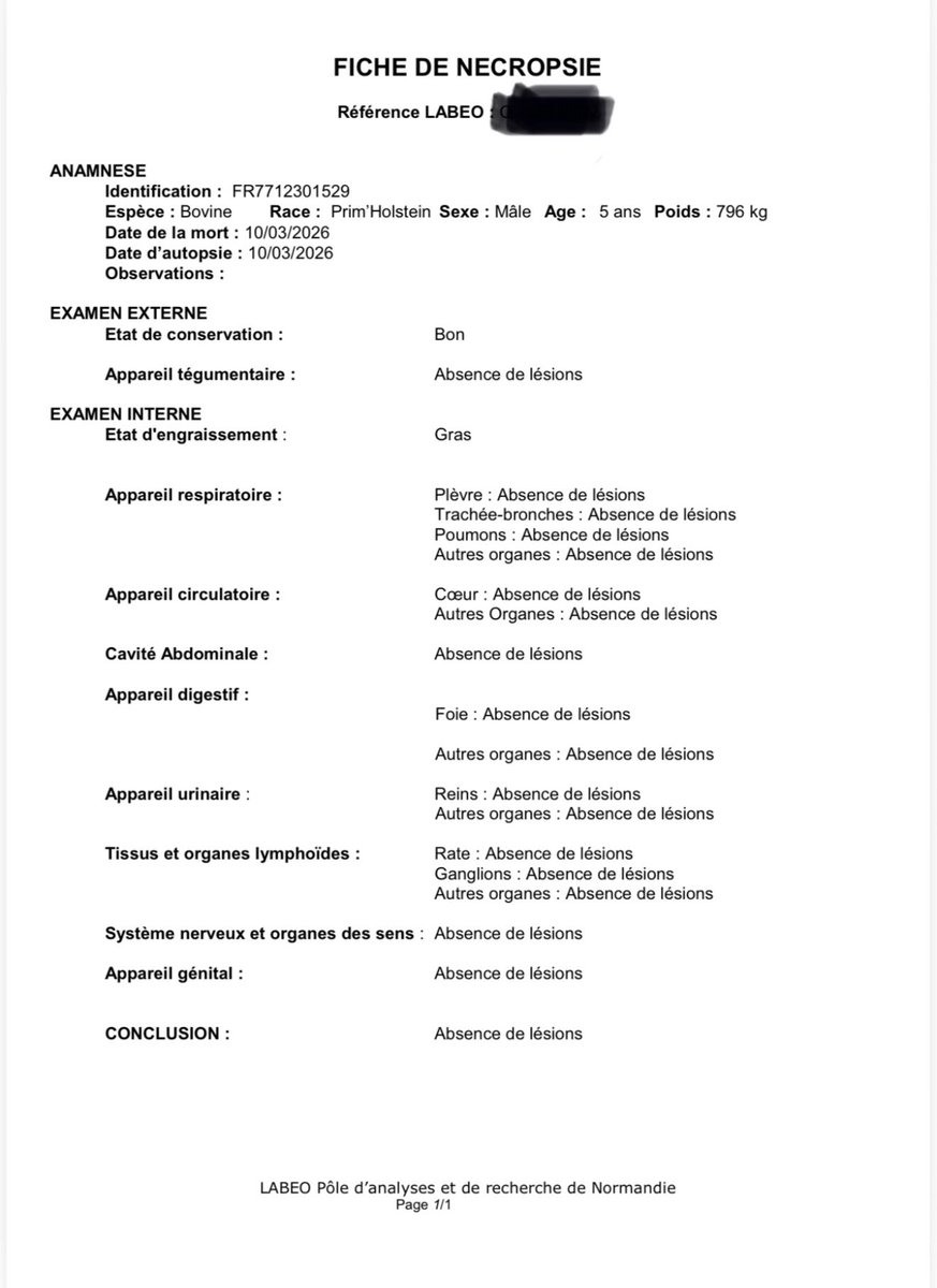 Julien Courbet tweet media