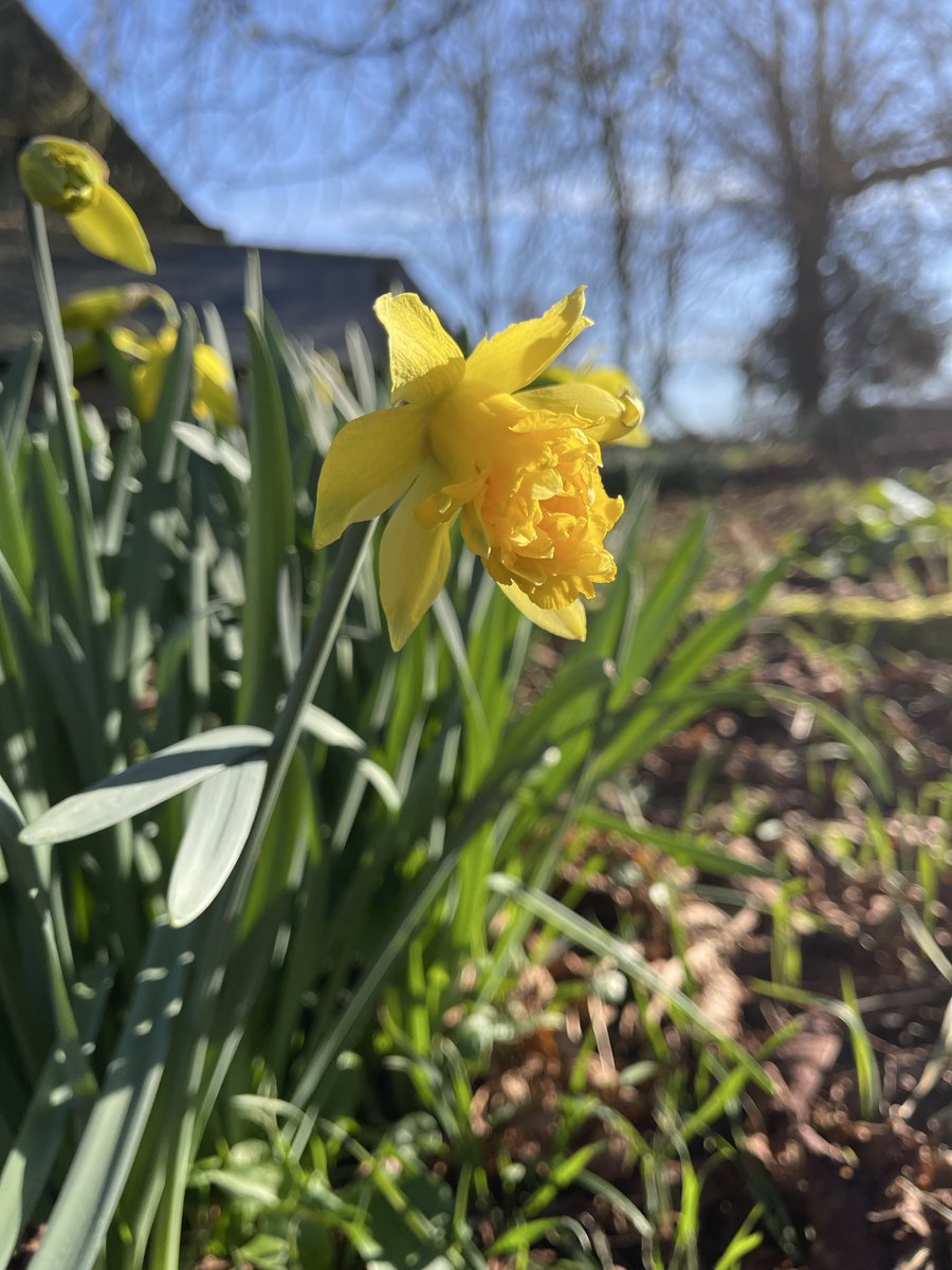 Reader Trowse tweet media