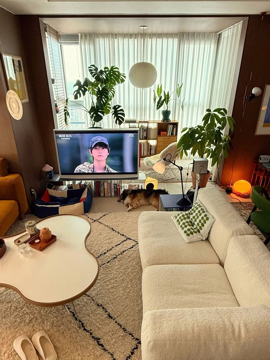 𝙣𝙪 tweet media