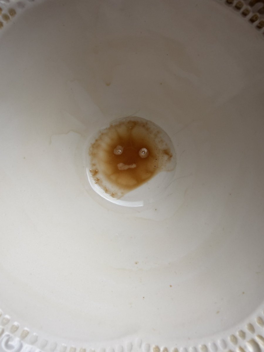 wolfee✨ tweet media