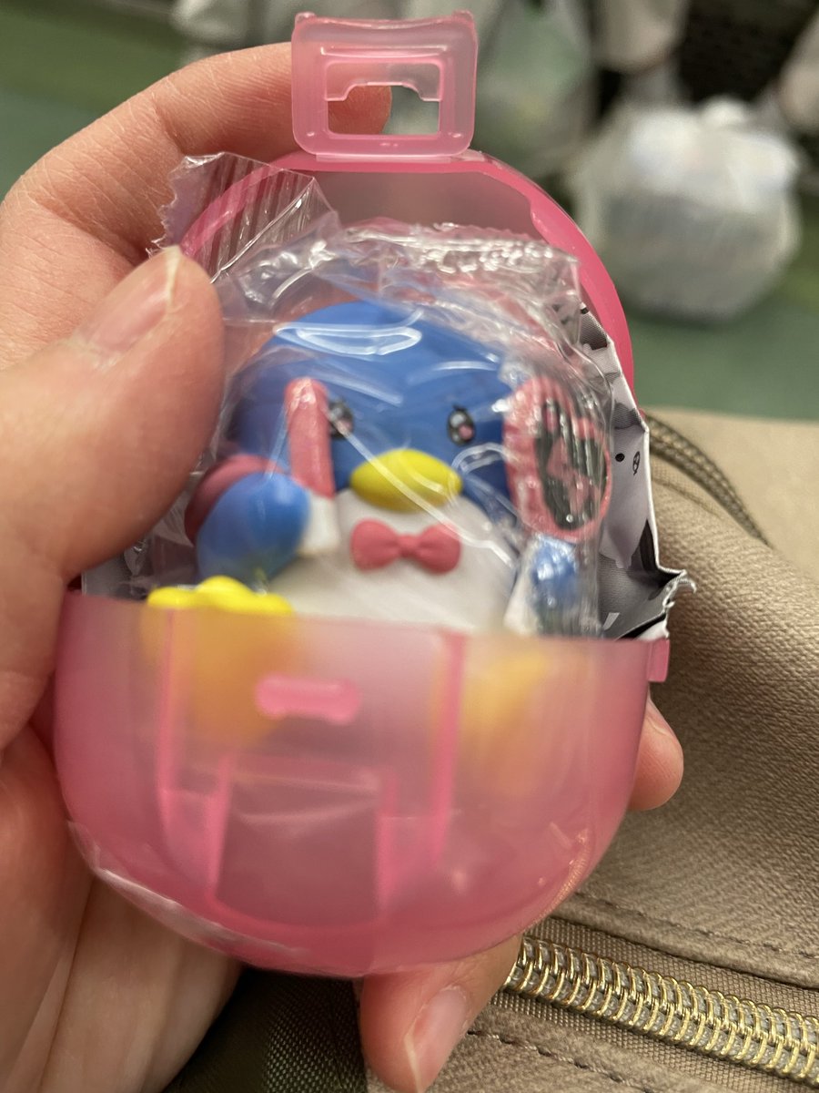 光〈コウ〉お取り引き垢 tweet media