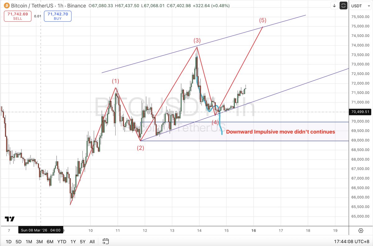 波浪狗 | TheWaveDog tweet media