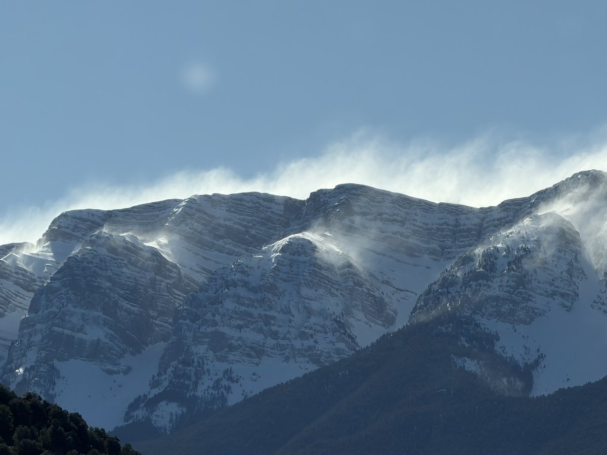 Albert Villaró tweet media