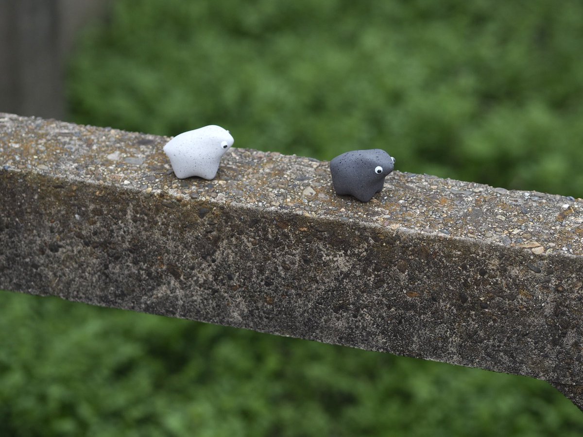 ペブルス / Pebbbles. tweet media