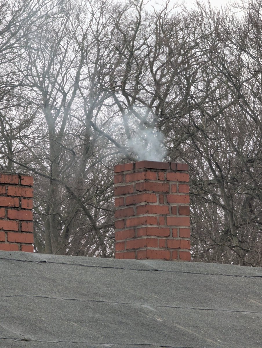 julius01 tweet media