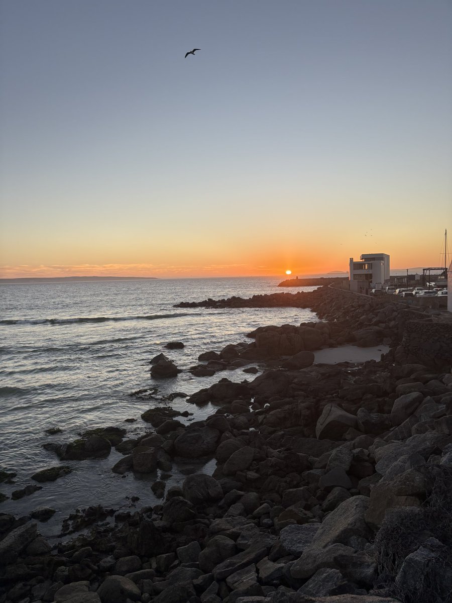 Chef Nick Martin tweet media