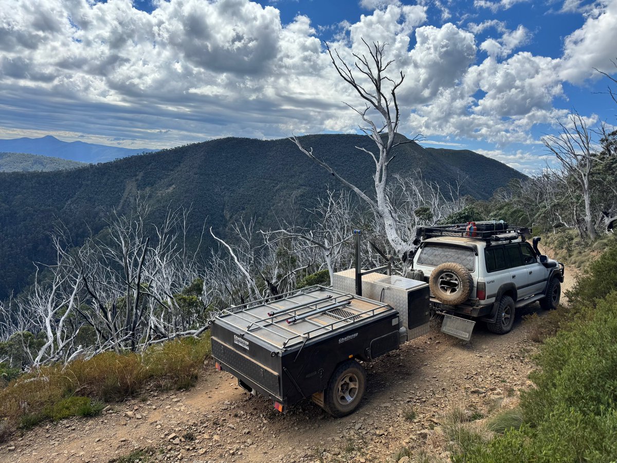 T-J Inbetween tweet media